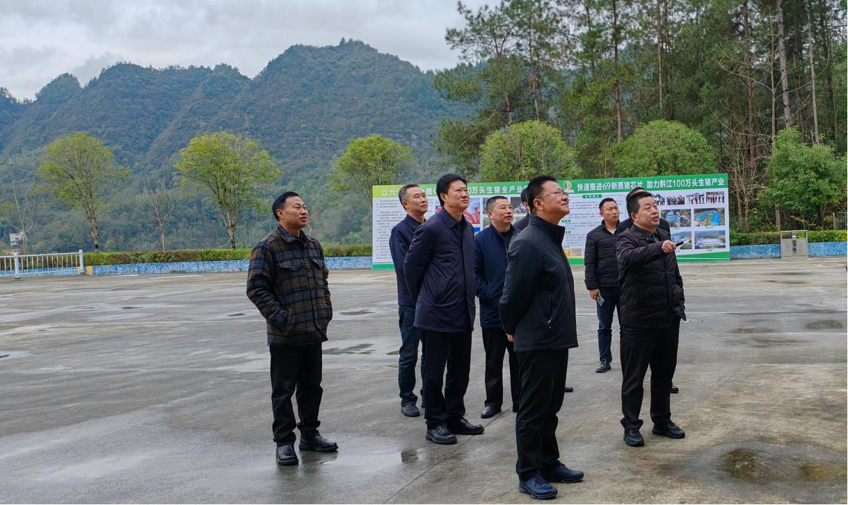 黔江區(qū)委書(shū)記羅成到69公司調(diào)研