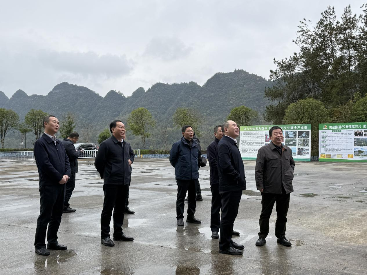 區(qū)長駱高燕到69公司調(diào)研